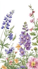 Vibrant wildflowers in a garden setting