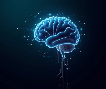 A glowing, futuristic digital brain rendered with blue neon lights and intricate network patterns, representing artificial intelligence and neural technology. Perfect for illustrating machine learning