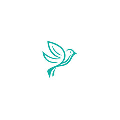 bird logo vector