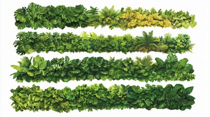 Tropical Greenery Collection Lush Foliage Borders for Decoration Projects