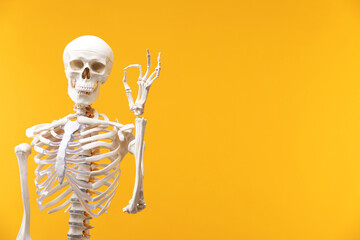 Human skeleton showing ok gesture on orange background, space for text