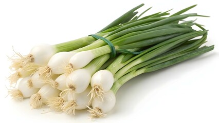 Bunch of Fresh Green Onions