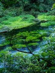 Beautiful water hole in Taupo