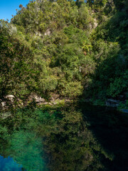 Beautiful water hole in Taupo