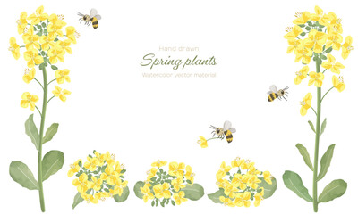 菜の花とミツバチのフレーム