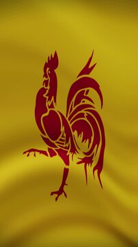 Wallonia Waving Flag in Vertical Orientation. Realistic Flag Animation. Seamless Loop Background.