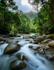 rain forest, long exposure of river 