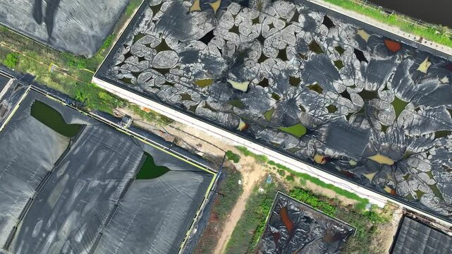 Aerial view captures deteriorated geomembrane liners with exposed sludge and a newly maintained pond with sealed black lining for industrial waste retention.
