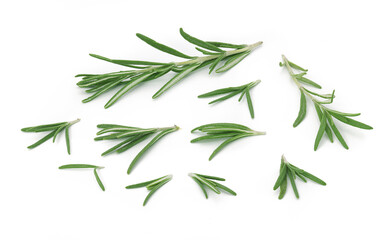 rosemary sprigs on white background