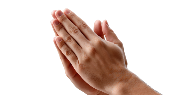 Praying hands gesture of care and love, isolated on white