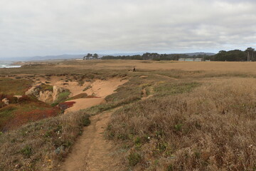 Hiking trail at Noyo Headlands Park, California