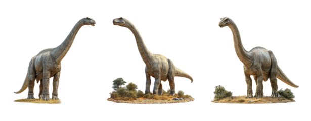 Realistic Dinosaurs with Transparent Background for Use in Various Projects