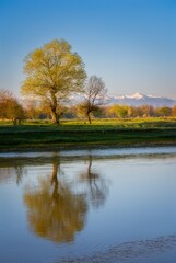 Obraz premium Spring landscape with reflection of trees in the river and snow-capped mountains in the background.