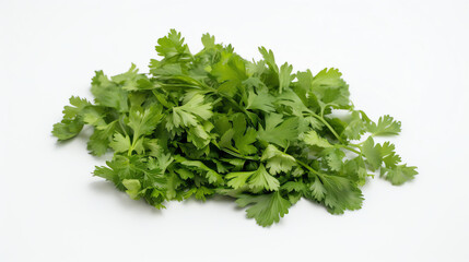 Obraz premium Vibrant cilantro leaves in a lush arrangement, perfect for enhancing your culinary creations or garnishing dishes with freshness.