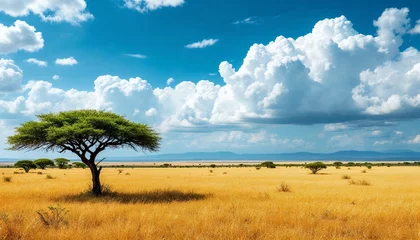 Selbstklebende Fototapeten Scenic African Savanna Landscape with Acacia Trees and Blue Cloudy Sky © Vintage Stock