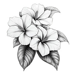 "Jasmine Flowers with Green Leaves – Botanical Illustration. 

 green leaves and flowers, jasmine illustration isolated, botanical jasmine design, jasmine flower vector, delicate floral art, jasmine p