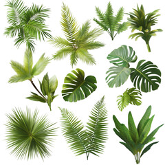 "Green Cannabis Leaf Vector – Isolated on White Surface. 
marijuana art, hemp plant, marijuana symbol, vector marijuana, isolated on white, botanical illustration, natural vector, hemp vector, mariju
