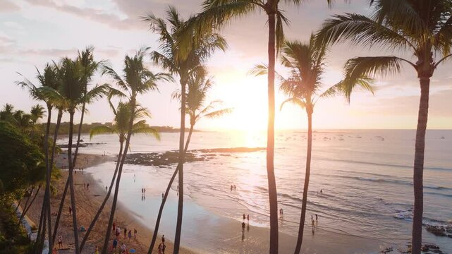 Beach sunset with palm trees at Playa Tamarindo in Costa Rica