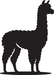 Fototapeta premium Alpaca silhouette and black vector
