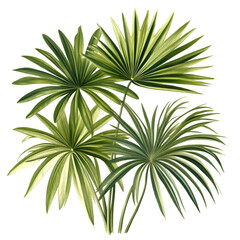 "Top View of Decorative Flowers and Indoor Plants Isolated on White Background | 3D Render. 
, top view floral elements, ornamental plant design, plants and flowers on white, top view bouquet design,
