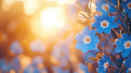 Blue and white floral wreath with olive branches, symbolizing peace and celebration on Israel Independence Day.