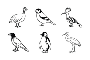 Set of bird vector art illustration