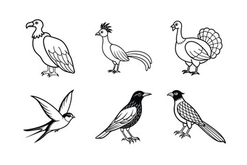 Set of bird vector art illustration
