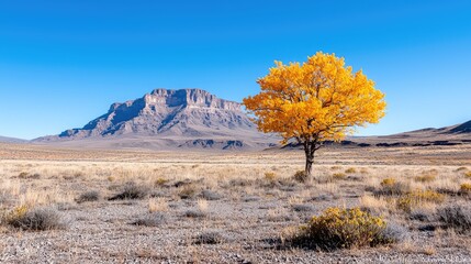 Obraz premium Golden tree in mountain landscape peaceful nature scene