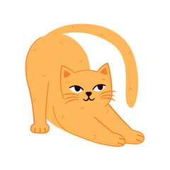 Soft pastel delicate the kitty is stretching isolated on transparent background. Trendy modern flat vector illustration with cute yellow cat, kitten for cards, scrapbooking, stickers.