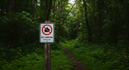 Naklejka premium Protected Wilderness Area With No Camping Allowed Through A Designated Sign