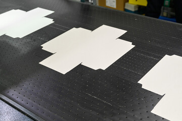 Cardboard packaging factory processes paper cutouts on conveyor belt after glue application in...