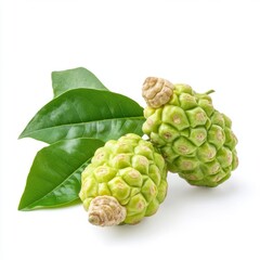 Fototapeta premium Fresh, vibrant green fruits with leaves. Two small, textured, light-green fruits rest on a white background, with lush green leaves