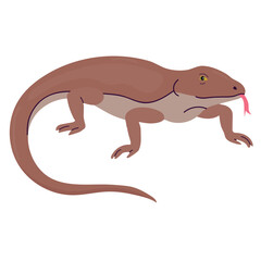 Komodo dragon icon clipart avatar logotype isolated illustration