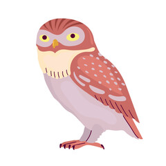 Little owl icon clipart avatar logotype isolated illustration