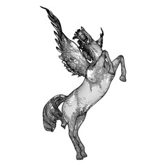 Pegasus Fly Horse Vector. A Vector Illustration Of A Flying Horse With Wings Isolated On A White Background.