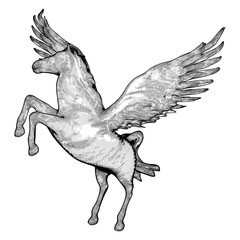 Pegasus Fly Horse Vector. A Vector Illustration Of A Flying Horse With Wings Isolated On A White Background.