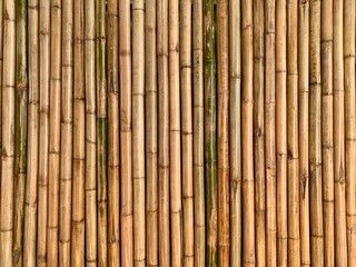 bamboo background texture