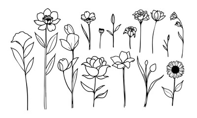 Elegant Hand-Drawn Floral Illustration Set &ndash; Ink Sketch Botanical Elements, Monochrome Artistic Flower Drawing, Delicate Petals & Leaves, Nature-Inspired Fine-Line Artwork