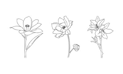 Elegant Hand-Drawn Floral Illustration Set – Ink Sketch Botanical Elements, Monochrome Artistic Flower Drawing, Delicate Petals & Leaves, Nature-Inspired Fine-Line Artwork