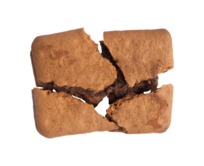 broken chocolate biscuits isolated