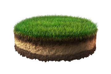 Circular patch of grass soil layers cross section nature ecology environment