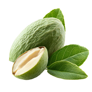 Fresh Green Almonds in Shell with Leaves