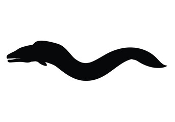 Fototapeta premium Eel silhouette. This image shows an eel, also known as a sea snake or marine eel, depicted in a streamlined and curvy form for artistic representation. Vector clipart illustration design.