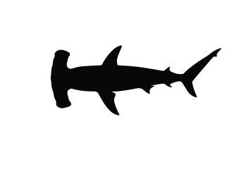 Obraz premium Hammerhead shark silhouette. This image shows a hammerhead shark, also referred to as Sphyrnidae, with its distinct head shape and streamlined body. Vector clipart black illustration design.