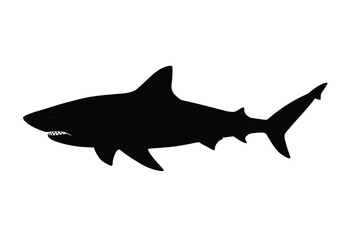 Obraz premium Tiger shark silhouette. This image shows a tiger shark, also referred to as Galeocerdo cuvier, with streamlined fins and a bold body structure. Vector clipart black illustration design.