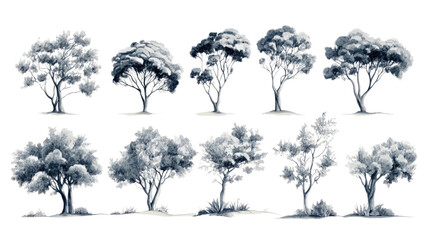 Collection of Twelve Watercolor Rendered Trees Nature Illustration Botanical Artwork