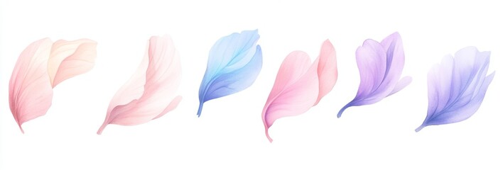 Fototapeta premium Delicate Floral Petals (1)