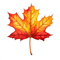 Obraz premium Vibrant autumn leaf