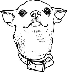 hand drawn artwork smile chihuahua head