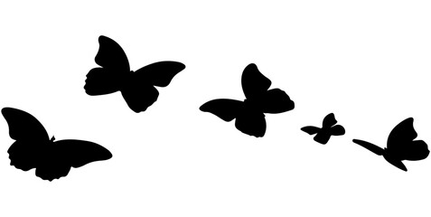 silhouette blue flying butterfly